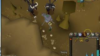 OSRS Fastest Black demon slayer task with cannon [upl. by Huba]