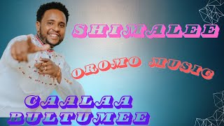 Caalaa Bultumee  Shimalee  Oromo Music [upl. by Ennadroj927]