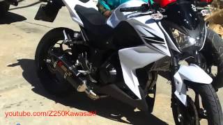 Akrapovic Carbon Exhaust SLIP ON For Kawasaki Z250 HD [upl. by Vudimir869]