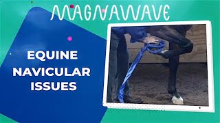 Navicular Pain in Horses  MagnaWave [upl. by Tamar510]