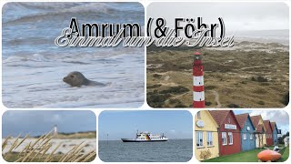 Rund um die Insel Amrum Weiter Strand Dünen Leuchtturm amp Seehunde Doku [upl. by Routh]