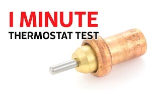 Testing a shower thermostat in less than 1 minute [upl. by Onaicram]