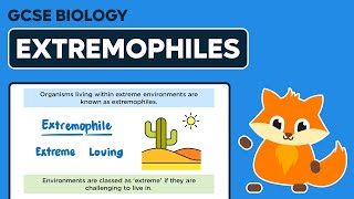 Extremophiles  GCSE Biology [upl. by Halvaard]