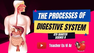 THE PROCESSES OF DIGESTIVE SYSTEM  4TH QUARTER  TEACHER ES VI AR [upl. by Groscr479]