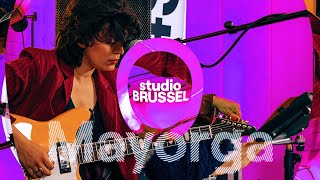 Mayorga — Tussenin Brihang cover  StuBru LIVE LIVE [upl. by Sirak914]