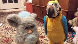 Furby 2005 tells Captain Flint a joke [upl. by Joris]