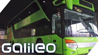 Flixbus  Wie wurde das Startup so erfolgreich  Galileo  ProSieben [upl. by Gnni]