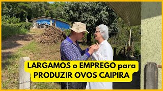 LARGAMOS o EMPREGO para CRIAR GALINHAS POEDEIRAS capacidade para 2750 em 5 galpões [upl. by Elleinaj]