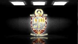 United Grand Lodge Of Queensland Grand Installation 2013 [upl. by Pleione]