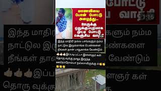 பசங்கன்னா இப்படித்தான் இருக்கணும் 🤗 youngstars schoollife schoolteachers schoolgirl news [upl. by Coats]