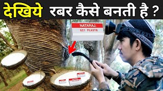 देखिये रबर कैसे बनती है   Rubber Tree Plant In Hindi  Rubber Manufacturing Process [upl. by Bricker658]