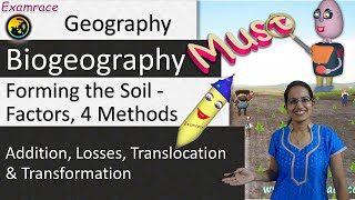 Forming the Soil  Factors 4 Methods and 13 Types Dr Manishika  Examrace [upl. by Subir]