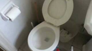 My Toilet Wont Stop Flushing [upl. by Till]