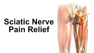 Seated Sciatic Nerve Pain Relief Exercises [upl. by Tudor]