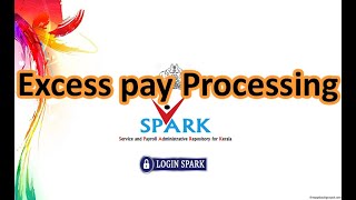 Excess pay Processing [upl. by Hploda]