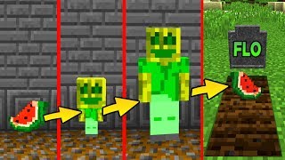 CHAOSFLO LEBENSZYKLUS in Minecraft  Geburt als Melone Boss Fight [upl. by Aldora]