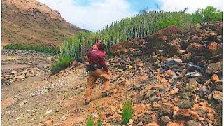 Expediente a Costa Canaria Veneguera SA por obras no autorizadas que dañan el patrimonio histórico [upl. by Eednil747]