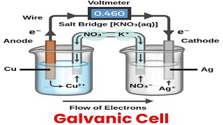 Galvanic or Voltaic Cells How They Work and Applications Detail Lecture [upl. by Ididn]