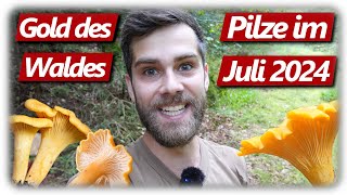 Pilze ohne Ende  Die Beste Pfifferling Saison  mit Crêpes Rezept [upl. by Salvidor543]