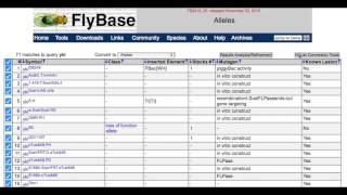 How to generate an excel file of all alleles of a gene [upl. by Florentia251]