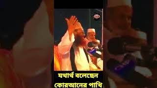 যথার্থ বলেছেন কোরআনের পাখি  allama delwar hussain saidi waz  দেলোয়ার হোসেন সাঈদী ওয়াজ ২০২৪ [upl. by Sivert]