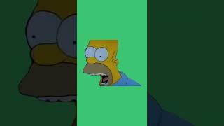 homer screaming green screen [upl. by Anilegna]