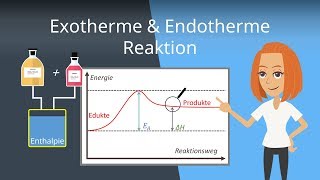 Exotherme und Endotherme Reaktionen  Beispiele und Energiediagramme [upl. by Nelly]