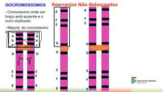 Citogenética  Alterações estruturais  translocação  trissomia parcial  genética  humana [upl. by Sisely104]