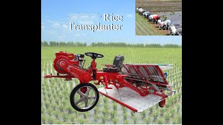 Automatic rice transplanter for tractor paddy transplanter machine  rice transplanter price [upl. by Avrom895]