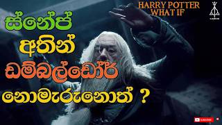 ස්නේප් අතින් ඩම්බල්ඩෝර් නොමැරුනොත්   What if Snape never killed Dumbledore [upl. by Cerelly]