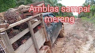 mobil hilux amblas bawa sawit menunggu pertolongan [upl. by Inaluiak]