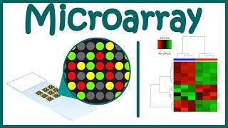 Microarray Technique  DNA Microarray  Gene expression analysis using microarray [upl. by Tol]