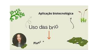 vídeo sobre a importância econômica e ecológica das Briófitas e Pteridófitas [upl. by Sadnac]