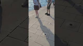 The Sea Organ Zadar livegiveandtravel nature croatia youtubeshorts sunset [upl. by Adnarem371]