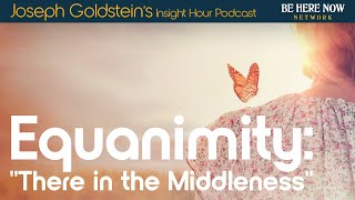 Equanimity “There in the Middleness” with Joseph Goldstein – Insight Hour Podcast Ep 182 [upl. by Couture]