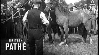 Prancing Ponies 1934 [upl. by Semadar371]