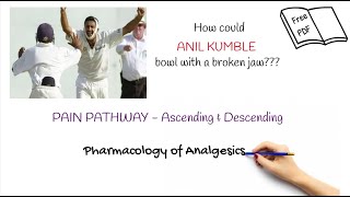 Pain PathophysiologyAscending amp Descending PathwayGate Control TheoryOpioids amp NSAIDs [upl. by Eiuqcaj]