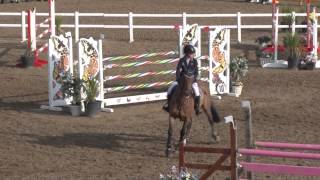 Showjumping  Chepstow International Children On Horses [upl. by Dnomayd]