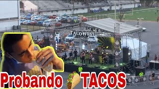 🌮Taco Fest en Monterrey NL [upl. by Kinney]