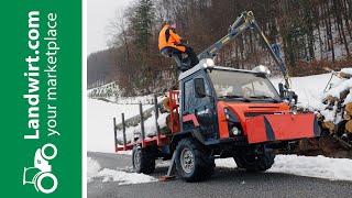 Holzladekran auf Muli gebaut  landwirtcom [upl. by Gypsie]