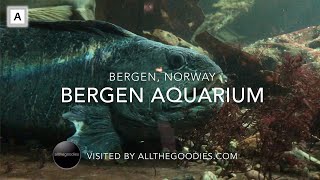 Bergen Aquarium Norway  allthegoodiescom [upl. by Ylicis375]