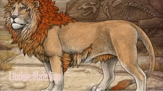 Lioden Male Lion [upl. by Paterson]