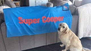 WE GOT A PO BOX  SEND COOPER amp KODA MAIL Super Cooper Sunday 59 [upl. by Fuchs625]