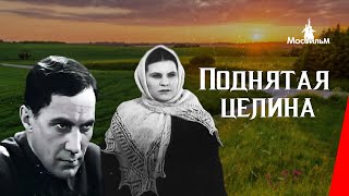 Поднятая целина  The New Land 1939 фильм смотреть онлайн [upl. by Marcelle]