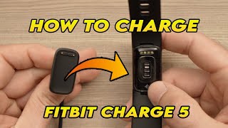 Fitbit Charge 6 vs Charge 5  Fitness Tech Review [upl. by Acenom]