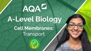 AQA A Level Biology Transport Across Cell Membranes [upl. by Burton]