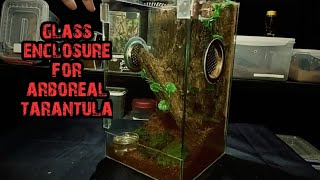 Paano mag setup ng arboreal tarantula using glass enclosure [upl. by Corina703]