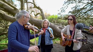 Raynor Winn and the Gigspanner Big Band on the South West Coast Path [upl. by Migeon807]