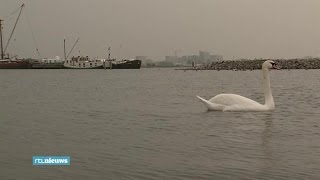 Warmte uit water dat kan prima in Nederland  RTL NIEUWS [upl. by Adiol857]