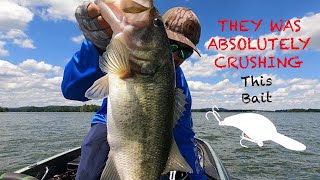 Bass fishing on LAKE GUNTERSVILLE [upl. by Akina584]